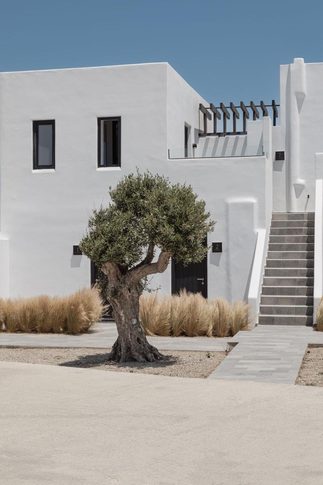 Laguna Suites In Mazera Mykonos Mykonos Town Kültér fotó